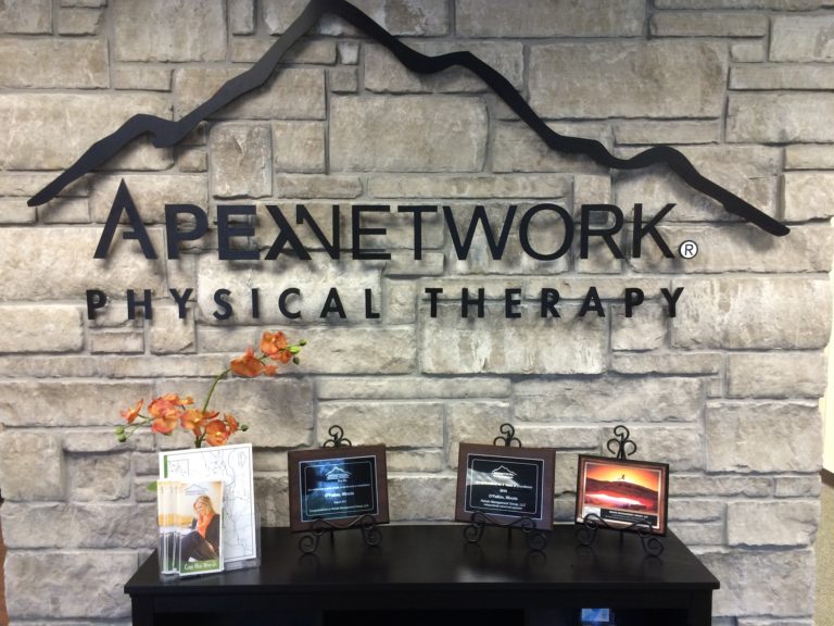 Apex Network Physical Therapy Dimensional Wall Lettering