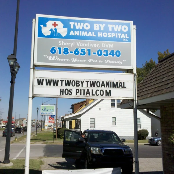 Two By Two Animal Hospital